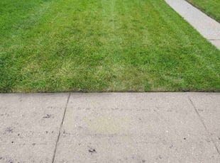 Bridget S.'s Lawn Mowing service result