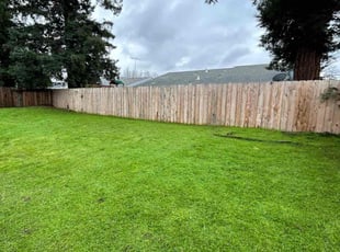 Arjun R.'s Lawn Mowing Service service result