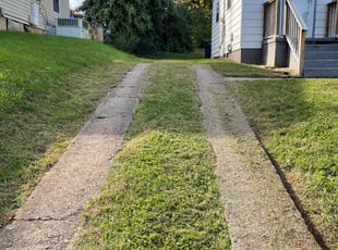 Dustin V.'s Grass Cutting service result