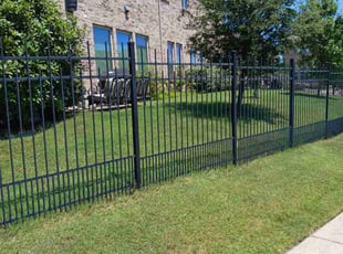 Amy F.'s Grass Cutting service result