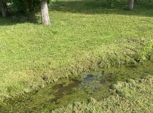 Cleanups by James Campbell for J.D. W. in Richmond, TX