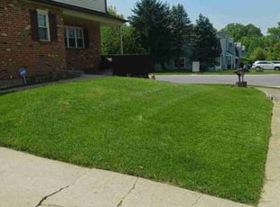 Carolyn R.'s Lawn Service service result