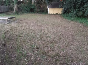 Leaf Removal by Eric Witherspoon for Maddie B. in Charlotte, NC