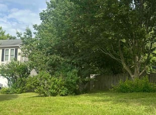 Bush Trimming by Carlos Meza for Noemi F. in Fredericksburg, VA