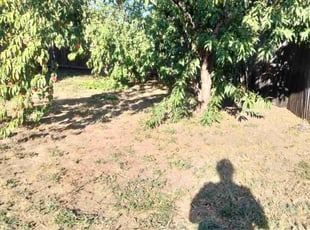 Cleanups by Jonathan Zavala for Zamira K. in Forest Hill, TX