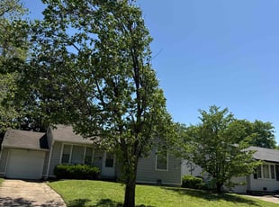 Tiffiny H.'s Lawn Care service result