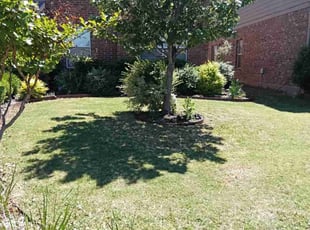 Yesenia A.'s Lawn Service service result
