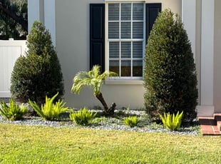 Deborah P.'s Lawn Service service result