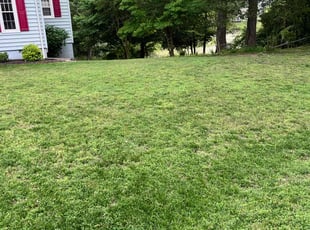 Chesnee G.'s Lawn Maintenance service result