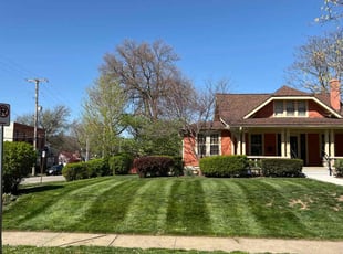 Judy R.'s Lawn Service service result