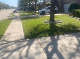 Christopher M.'s Lawn Maintenance service result