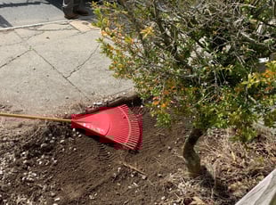 Landscaping by Nicholas Violante for David O. in Providence, RI