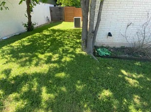 Chris B.'s Grass Cutting service result