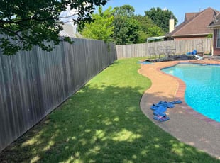 Mary B.'s Lawn Mowing service result