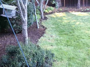 Mary M.'s Lawn Mowing Service service result