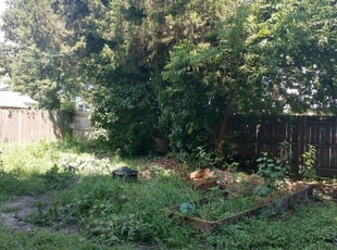 Cleanups by William Mende for Joseph J. in Hampton, VA