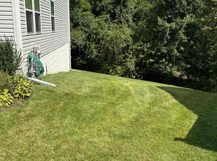 Stacy V.'s Yard Cutting service result
