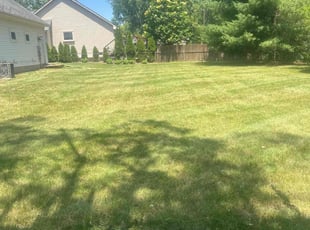 Franchesca S.'s Lawn Maintenance service result