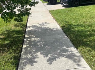 Matias J.'s Lawn Mowing service result