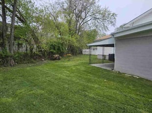Penelope T.'s Grass Cutting service result