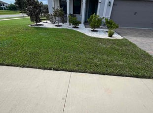 Jen C.'s Lawn Mowing service result