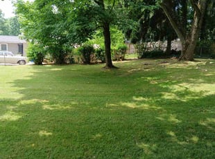 Vijayalakshmi V.'s Lawn Service service result