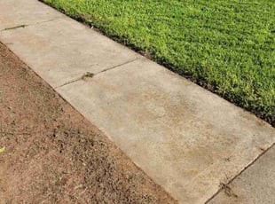 Weeding by Don Presler for Rachel C. in Citrus Heights, CA