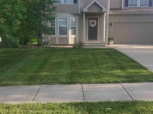 Samantha Q.'s Grass Cutting service result