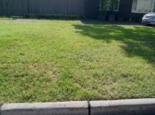 Bush Trimming by Rene Contreras for Chanel P. in Houston, TX