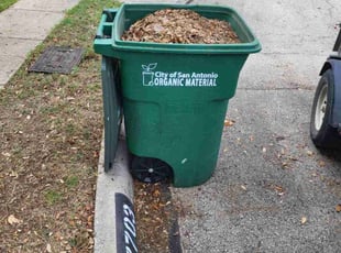 Leaf Removal by Jason Westgor for Spring A. in San Antonio, TX