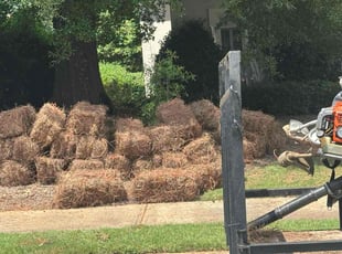 Weeding by Armando J for Jason N. in Lawrenceville, GA