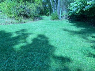 Andrea M.'s Grass Cutting service result