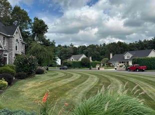 Gennadii G.'s Lawn Mowing service result