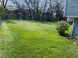 Felix A.'s Yard Cutting service result