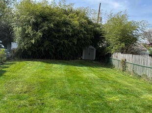 Keith G.'s Lawn Service service result