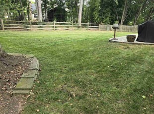 Jalpa P.'s Lawn Care service result
