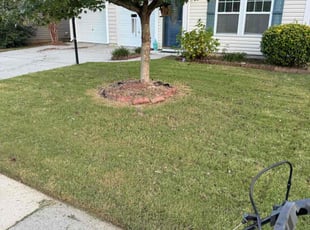 James J.'s Lawn Care service result