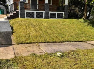 ROCHELLE H.'s Grass Cutting service result