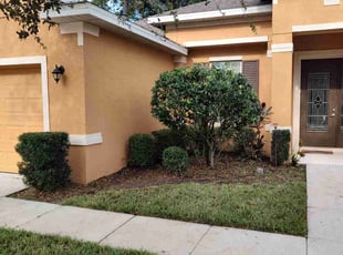 Bush Trimming by Chris Hoppe for Ryan C. in DeLand, FL
