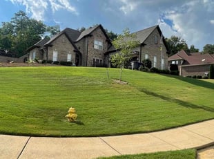 Alexis L.'s Lawn Care service result