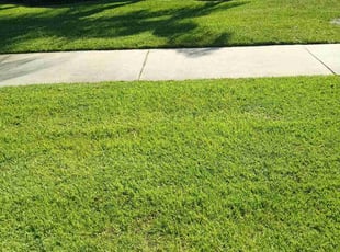 Sue k.'s Lawn Mowing Service service result