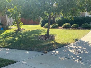 Alma R.'s Lawn Mowing Service service result
