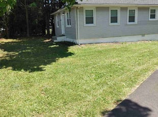 Steve V.'s Lawn Mowing service result