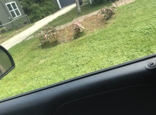 Weeding by Carl George for Leah S. in Baton Rouge, LA