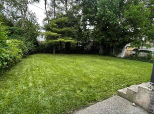 Joshua H.'s Lawn Care service result