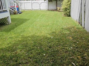 Amanda J.'s Lawn Care service result