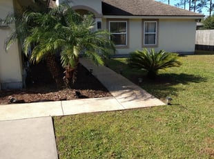 Bush Trimming by Will Rich for Franklin W. in Jacksonville, FL