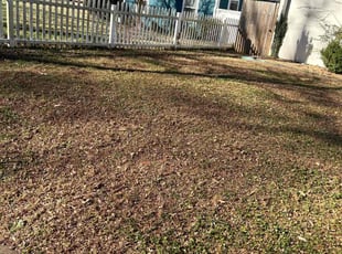 Leaf Removal by Jeff Foster for Mina E. in Charlotte, NC