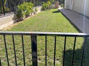 Steve H.'s Lawn Mowing Service service result