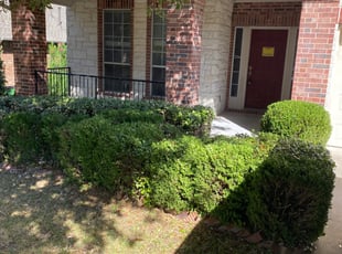 Bush Trimming by Eugene Ndibwami for Caroline W. in Round Rock, TX